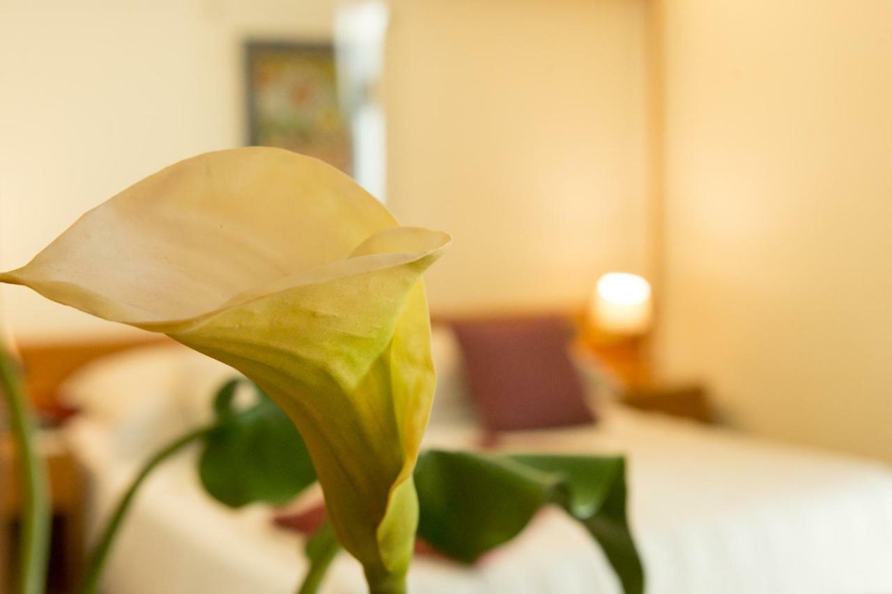 בארלטה Best Western Hotel Dei Cavalieri מראה חיצוני תמונה